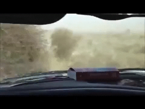 BM