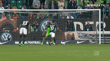 football soccer GIF by VfL Wolfsburg