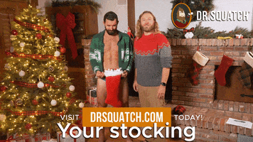 Christmas Tree GIF by DrSquatchSoapCo
