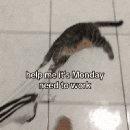 Cat Wanna GIF
