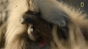 200.gif?cid=fc005b087c16f692815746a6cc5144864dd0ff1189c1311f&rid=200.gif&ct=g