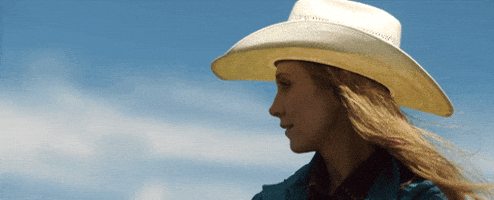 200.gif?cid=fc005b080bef55aab22aae19f297a020da733e93c8378488&rid=200.gif&ct=g