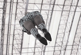 Gaga Flying GIF