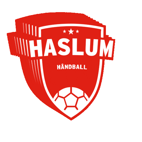 Handball Sticker by Haslum HK