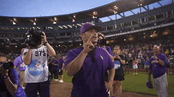 Jumping Lets Go GIF by LSU Tigers