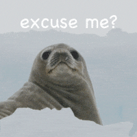 Best Im Sorry What Gifs Primo Gif Latest Animated Gifs Best Im Sorry What Gifs Primo Gif Latest Animated Gifs