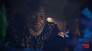 Delivery Goldfish GIF by DoorDash