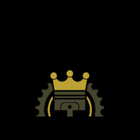 autokingsk GIF