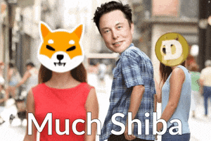 Shiba Inu Dogecoin GIF by :::Crypto Memes:::