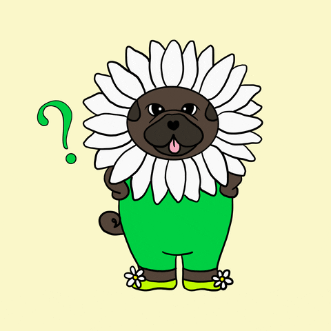 Cartoon gif. Sunflower petals enclose a brown mutt's face as it stands on two feet in bright green overalls and lime green shoes topped with sunflowers. Its paws rest against its hips while orange and green question marks appear sporadically.