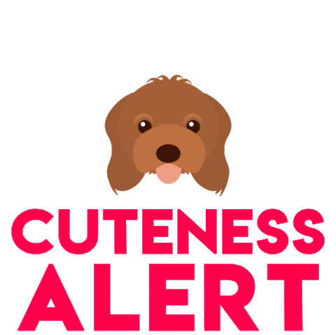 Teachingtailsdogtraining Sticker by Teaching Tails