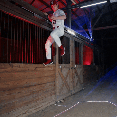 Home Run Celebration GIF by Gamecock Athletics