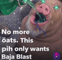 Taco Bell Pig GIF