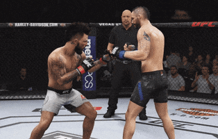 fight gameplay GIF by EA SPORTS UFC