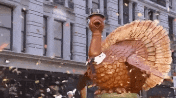 Balloon GIF by The 94th Annual Macy’s Thanksgiving Day Parade