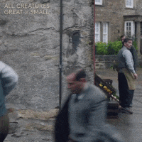 Hiding Run Away GIF by All Creatures Great And Small