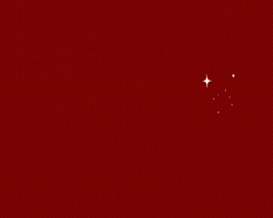 MacerataOggi GIF