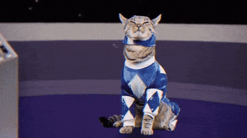 red ranger cat GIF by Power Rangers