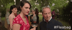Season 2 Episode 6 GIF by Fleabag