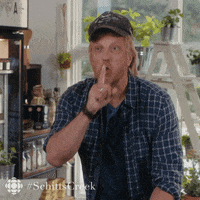 schitts creek please GIF by CBC