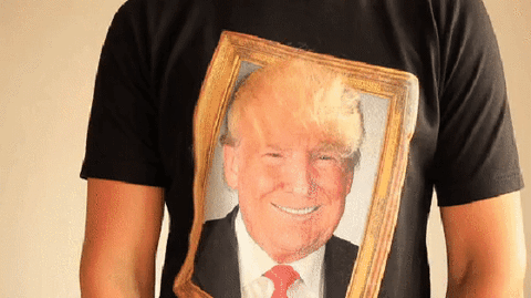 trump donald GIF