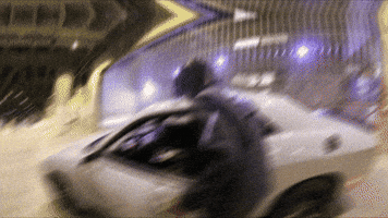 009fly GIF
