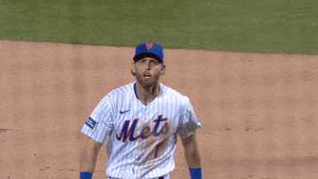 Excited Fired Up GIF by New York Mets