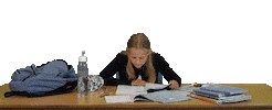 School Working Sticker by vanlodenstein