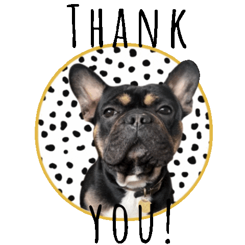 French Bulldog Thank You Sticker for iOS &amp; Android | GIPHY