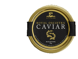 Attilus Caviar Sticker