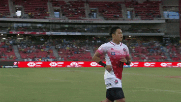 Taking One For The Team Japan GIF by World Rugby
