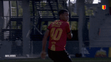 KV Mechelen GIF