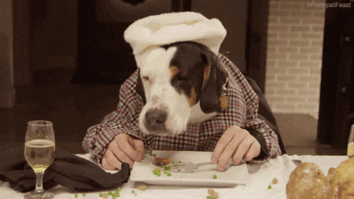 giphy.gif?cid=4d1e4f295f55cfceaa807dddd5bd9f5aef064e4b2abe3700&rid=giphy.gif