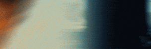 Bkjn Festival GIF by BKJN Events