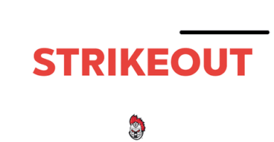 Nashua Silver Knights Baseball GIF