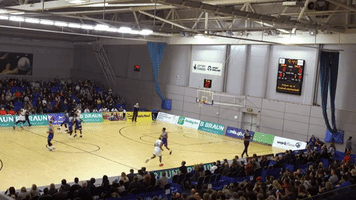 the tank home GIF by Sheffield Sharks
