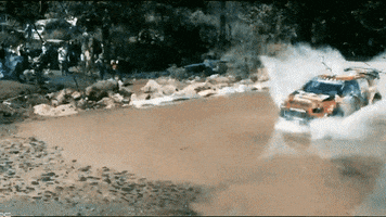 rally mexico GIF by FIA World Rally Championship