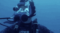 Friendly Reminder, This Is An Actual Movie Scene GIF - Movie Scene Shark -  Discover & Share GIFs