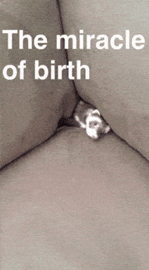 birth