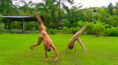 giphy.gif