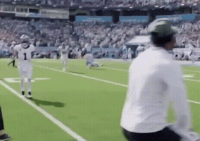 Philadelphia Eagles Shrug GIF by Stock King Options