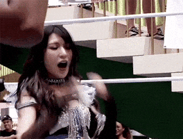Wrestling Stardom GIF