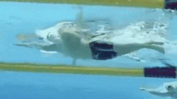 Swim GIF