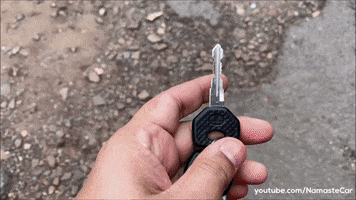 Lets Go Indian GIF by Namaste Car
