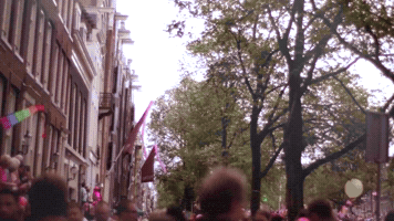 GIF by Pulitzer Amsterdam