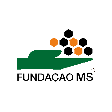 Fundação MS Sticker