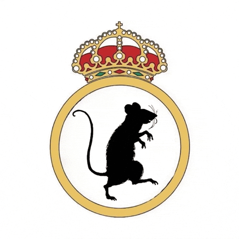 Madrid GIF