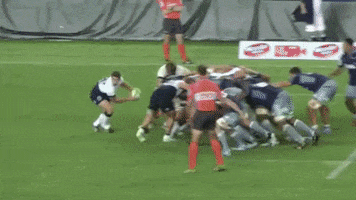 Scrum Rugby Teamwork GIF