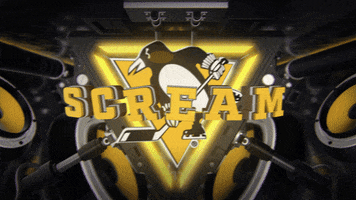 Hockey Nhl GIF by Pittsburgh Penguins
