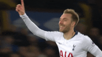 Football Come On You Spurs GIF by Tottenham Hotspur